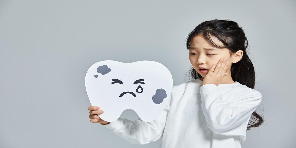 인기 치아보험 순위 및 특징